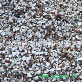 【四六瓣芡实】@【同欢药材】中药材批发供应  规格齐全 量大从优  产地 广东省图2