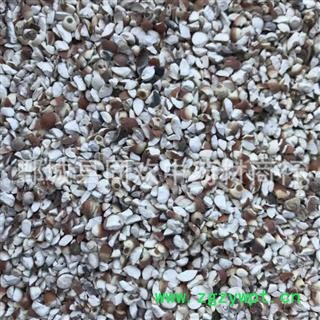 【四六瓣芡实】@【同欢药材】中药材批发供应  规格齐全 量大从优  产地 广东省图3