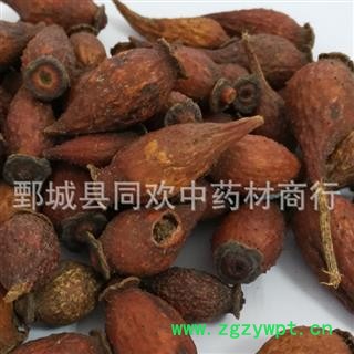 【金樱子】@【同欢药材】中药材批发供应  规格齐全 量大从优  产地 江西省图3