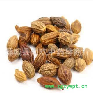 【诃子】@【同欢药材】中药材批发供应  规格齐全 量大从优 产地 广西壮族自治区图2