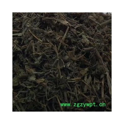 圣草康园双肾草 肾阳草 一根葱 秤砣草 坠桃草 肾阳草 鸡肾参 对对参