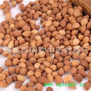 【郁李仁选货】@【同欢药材】中药材批发供应  规格齐全 量大从优  产地 内蒙古自治区图3