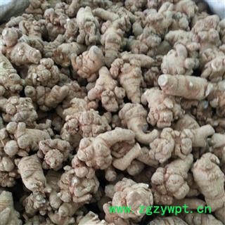 圣草康园三七 60头三七 云南文山水洗三七图2