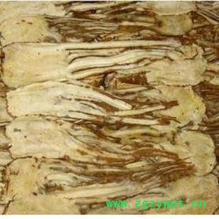 圣草康园中药材当归 统片 当归佛手片  当归炭图2