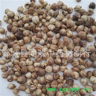 【白豆蔻好统货】@【同欢药材】中药材批发供应 规格齐全 量大从优 产地 广西壮族自治区图3