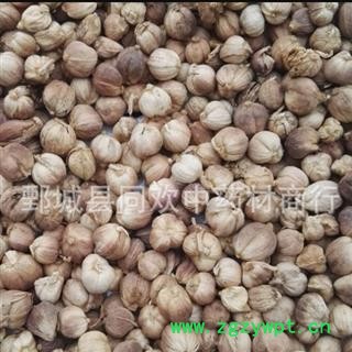 【白豆蔻好统货】@【同欢药材】中药材批发供应 规格齐全 量大从优 产地 广西壮族自治区图2