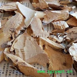 圣草康园白龙须 八角枫根 新货图2