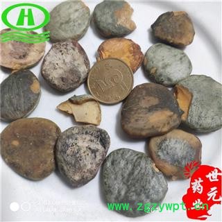 世元药业 木鳖子仁 0.5kg/袋 别称 木蟹 土木鳖 壳木鳖 漏苓子 地桐子 藤桐子图2