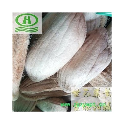 世元药业 芒果核 长寿果 新货【全品除尘中药】