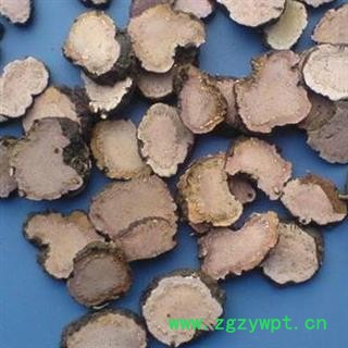 圣草康园中药材 拳参 紫参 草和车 石蚕疙瘩参 石打穿图2