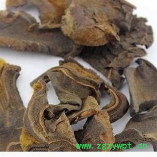 圣草康园狗脊 金毛狗脊去毛图2