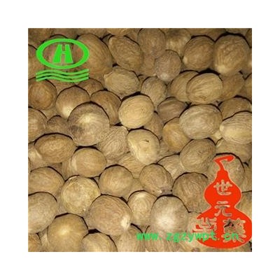 世元药业 肉蔻 肉豆蔻 调料 药用 肉扣