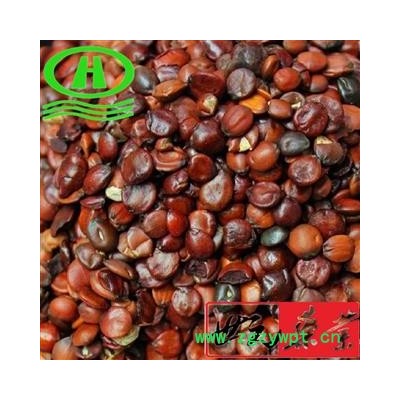 世元药业 进口熟枣仁 理枣仁净货无壳 进口山枣仁 酸枣子 棘仁 里枣仁