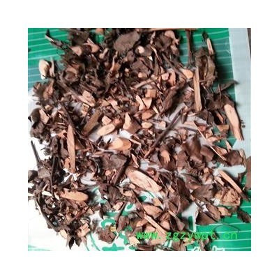 圣草康园柞木枝 凿子树，蒙子树，葫芦刺 刺柞