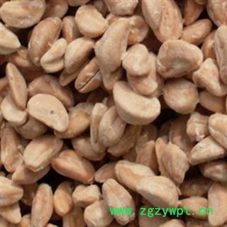 世元药业 山楂子 山楂籽 正品 优质 精选 可打粉 做保健枕图2