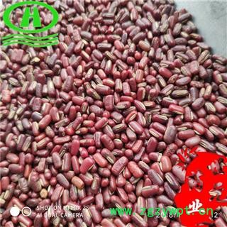 世元药业 赤小豆 药用长粒 口感差药效好 大货新货 红小豆 赤豆 亦豆图2
