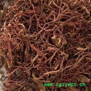 紫菀 统 产地 安徽省图3