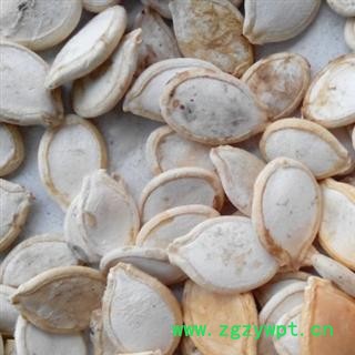 世元药业 南瓜子 白南瓜子 大货 新货 优质 精选 优惠 促销图4