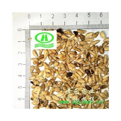 世元药业 石榴子 正品 石榴籽 专业批发供应药店诊所药批各类优质中药材