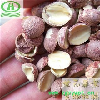 世元药业 去芯红莲子 食用正品 去芯天然 原色 赤莲子 药店诊所批发各种药材图2