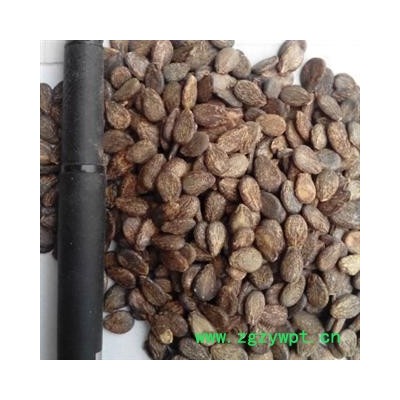 世元药业 西瓜子 【全品除尘中药】