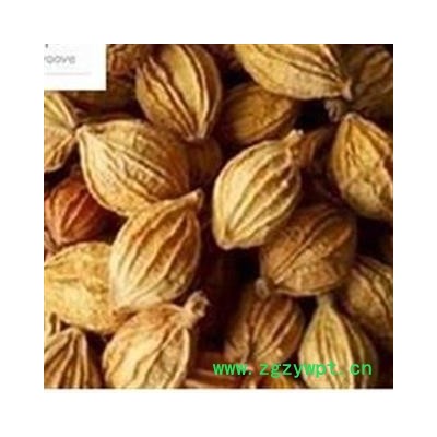 香砂 选 精品选装一级香砂 产地直销 广西壮族自治区