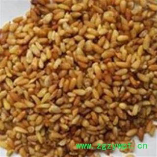 柏子仁 万信药业！！柏子仁95货 产地 山东省图2