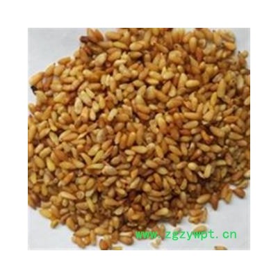 柏子仁 万信药业！！柏子仁95货 产地 山东省