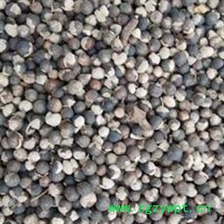 蔓荆子选货 干净无杂质 颗粒饱满 产地直销图2