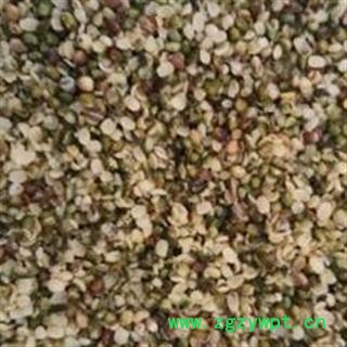 火麻仁 精品火麻仁95米 产地 四川省图2