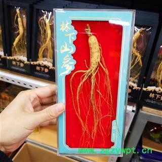 长白山山参单支礼盒装净重10克以上蓝水晶盒图2