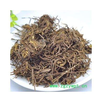 中药材 马尾莲  马尾连 马尾黄连金丝马尾莲唐松草金丝黄连