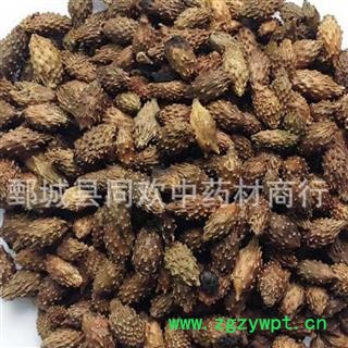 【炒苍耳子】@【同欢药材】中药材批发供应  规格齐全 量大从优  产地 山东省图2