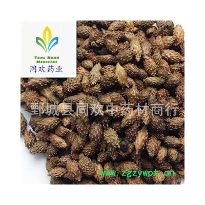 【炒苍耳子】@【同欢药材】中药材批发供应  规格齐全 量大从优  产地 山东省