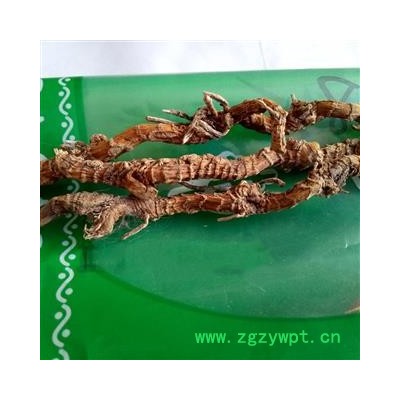 中药材蜘蛛抱蛋 一叶兰 大叶万年青 竹叶盘 九龙盘