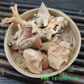 五指毛桃 三龙爪 五爪龙 金龙五指图2