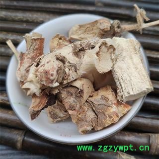 五指毛桃 三龙爪 五爪龙 金龙五指图3