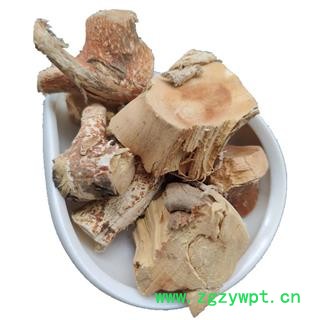 五指毛桃 三龙爪 五爪龙 金龙五指图4