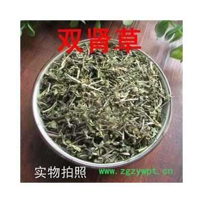 中药材 双肾草 肾阳草 一根葱 秤砣草 坠桃草
