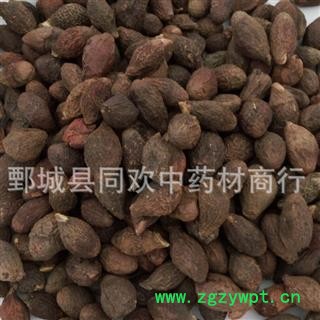 【药用统货胖大海】@【同欢药材】中药材批发供应  规格齐全 量大从优  产地 海外图3