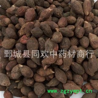 【药用统货胖大海】@【同欢药材】中药材批发供应  规格齐全 量大从优  产地 海外图2