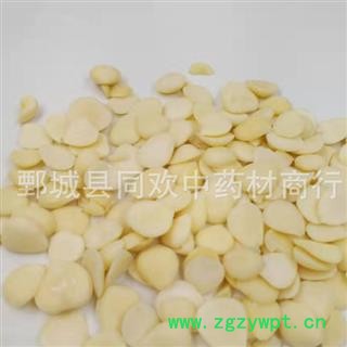 【大个去皮生苦杏仁】@【同欢药材】中药材批发供应  规格齐全 量大从优  产地 山西省图2