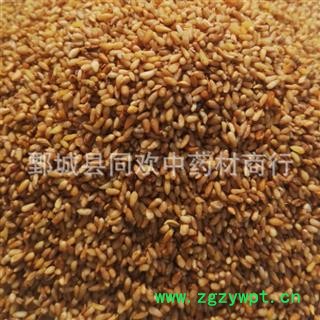 【好统货柏子仁】@【同欢药材】中药材批发供应  规格齐全 量大从优 产地 山东省图2