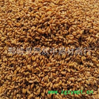 【好统货柏子仁】@【同欢药材】中药材批发供应  规格齐全 量大从优 产地 山东省图3