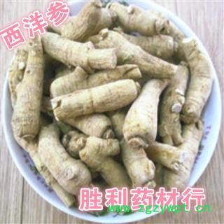 西洋参  西洋参长枝条25克（500克20支左右）图2