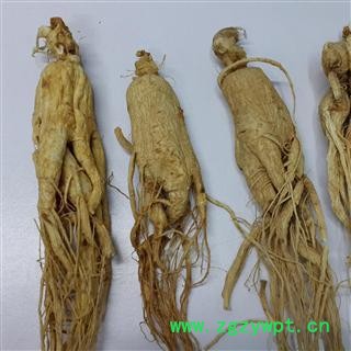 圣草康园  人参  白参  白全须 生晒参  6年生晒原皮参40支 产地 吉林省图2