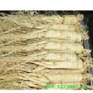 圣草康园  人参  白参  白全须 生晒参  6年生晒原皮参40支 产地 吉林省图3