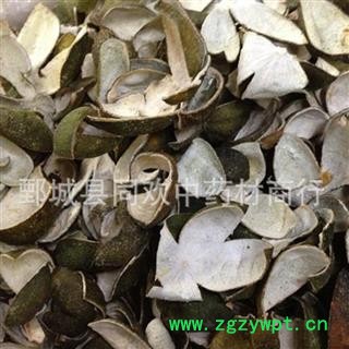 【四花青皮】@【同欢药材】中药材批发供应  规格齐全 量大从优 产地 湖北省图2