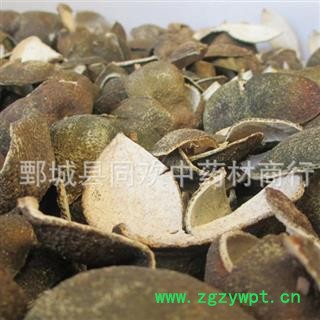 【四花青皮】@【同欢药材】中药材批发供应  规格齐全 量大从优 产地 湖北省图3