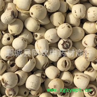 【去芯白莲子好统货】@【同欢药材】中药材批发供应  规格齐全 量大从优  产地 湖南省图3
